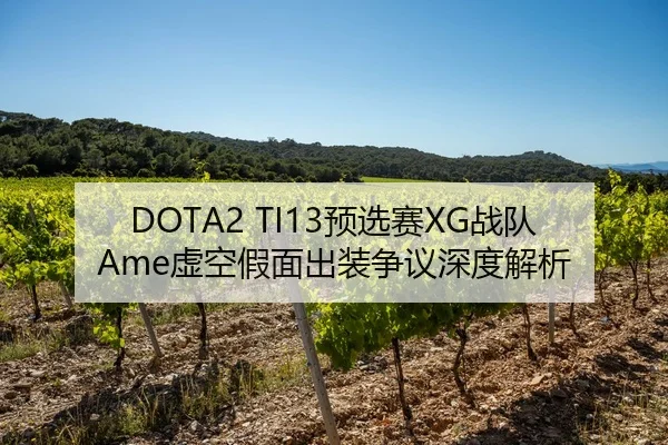 DOTA2 TI13预选赛XG战队Ame虚空假面出装争议深度解析