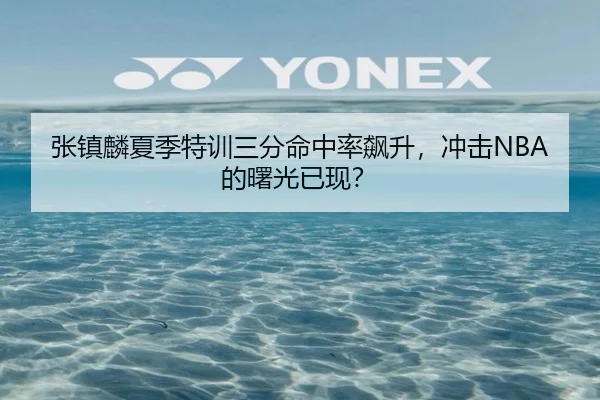 张镇麟夏季特训三分命中率飙升，冲击NBA的曙光已现？