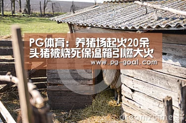 PG足球