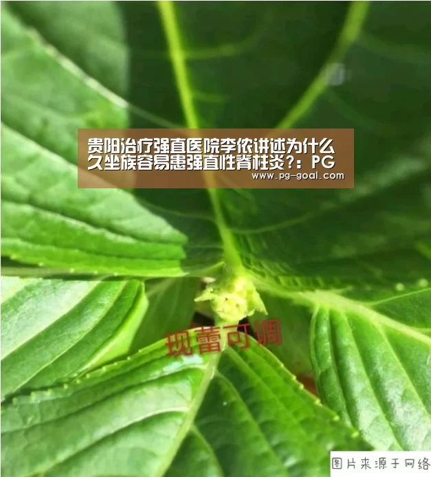 PG足球